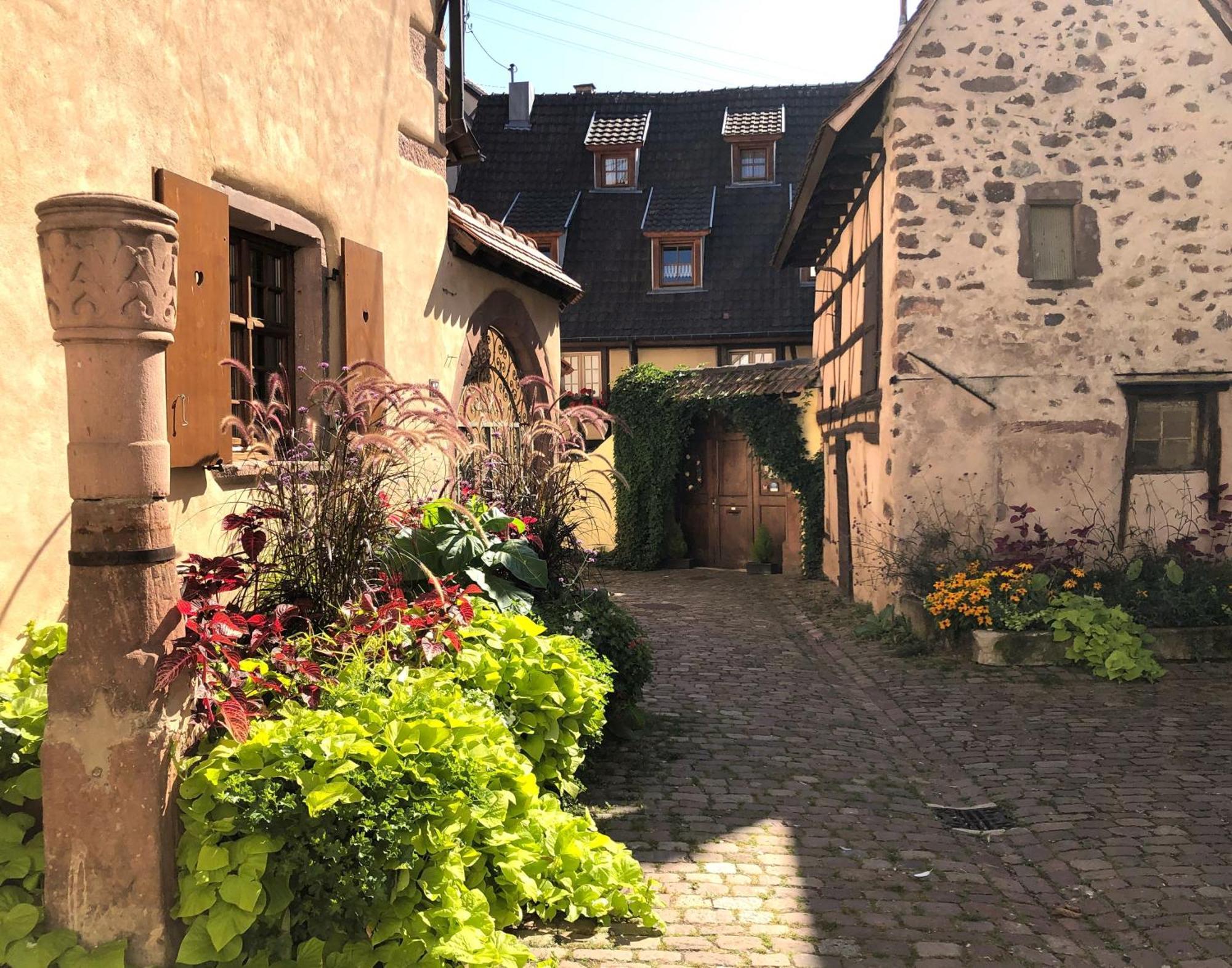 Les Gites Coeur De Vigne Riquewihr Exterior foto